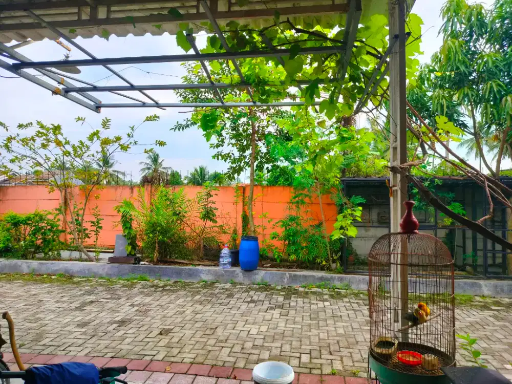 Rumah sewa sepatan