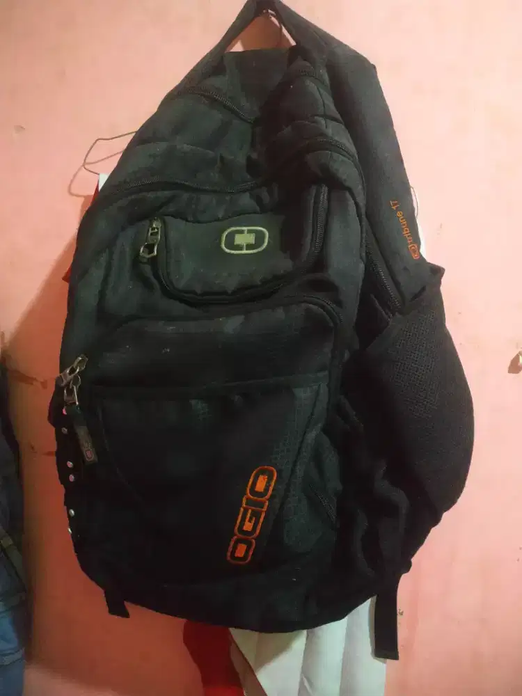 Tas ogio tribune 17