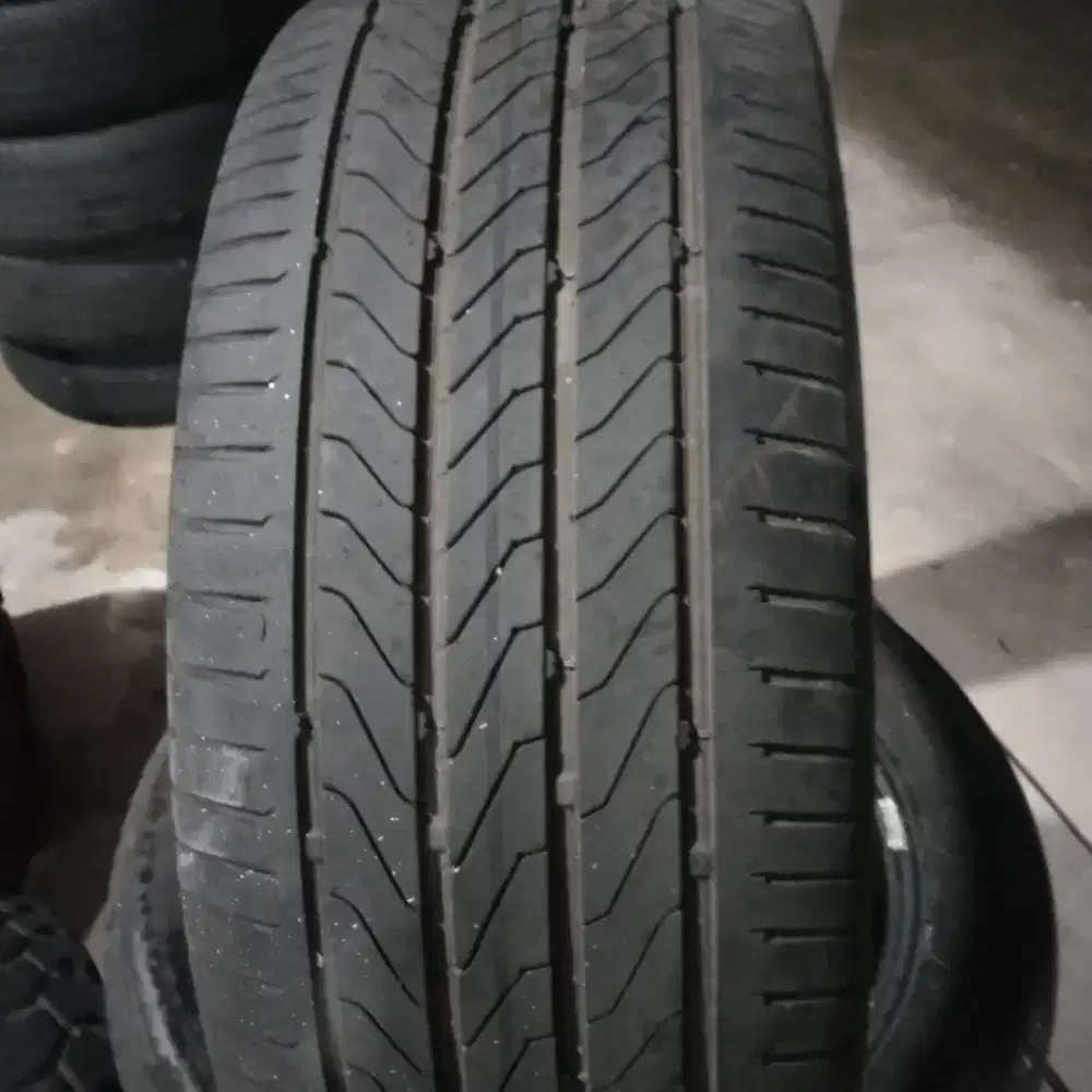 Ban continental 225 55 R17