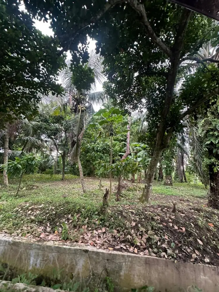Dijual Tanah 19x24x60 meter