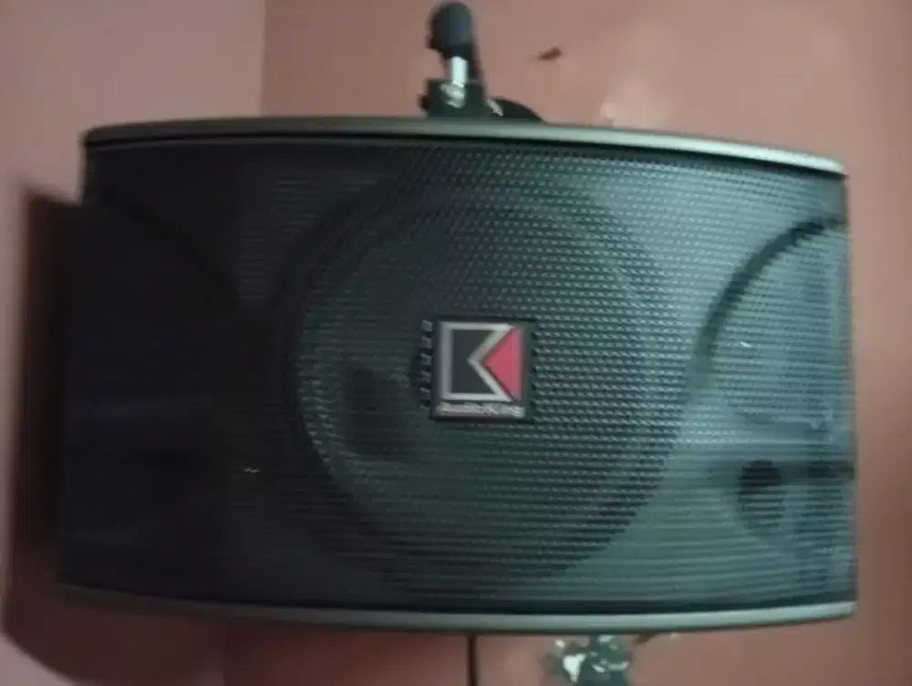 Speaker Audioking Ok10B