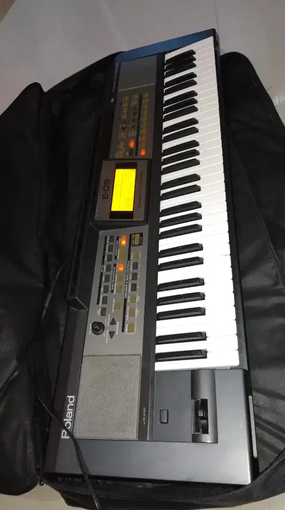 Roland e09 mulus normal