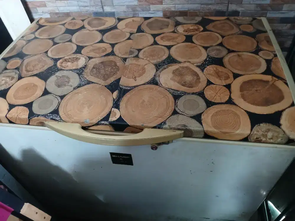 FREEZER BOX SHARP 300L