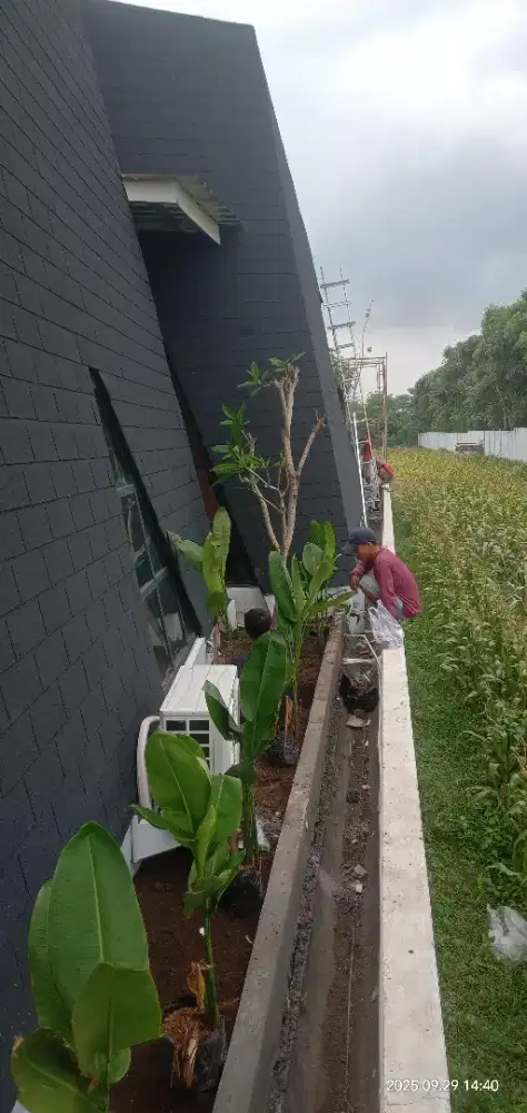 Jasa pembuatan taman hias minimalis kolam minimalis