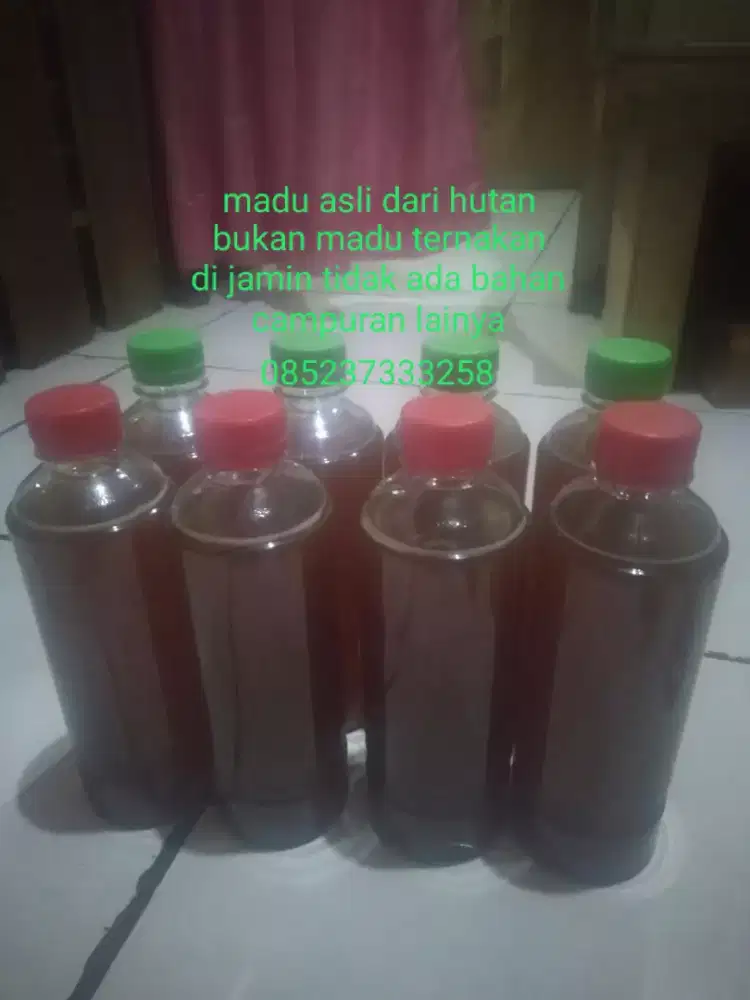 Jual madu asli dri hutan