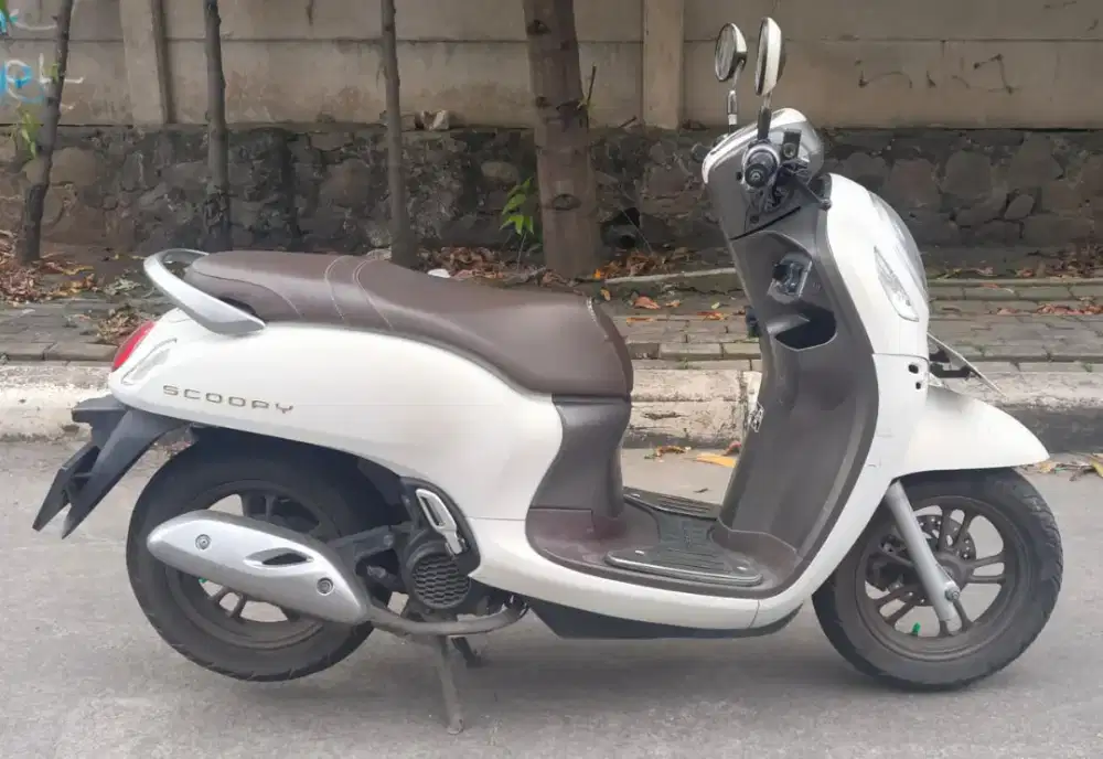 Scoopy 2023 Gress