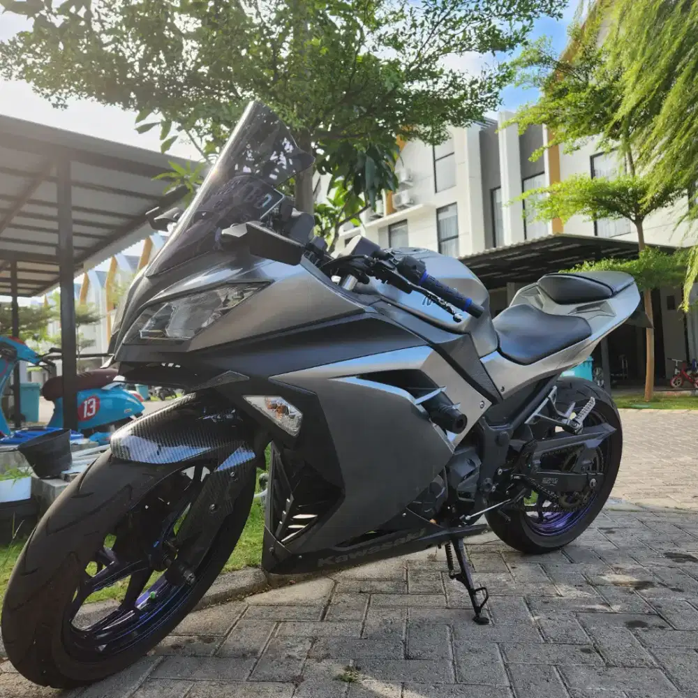 Ninja 250 FI Silver