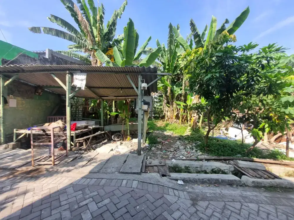 DISKON HINGGA 75%! DIJUAL LELANG TANAH DI SEMEMI JAYA UTARA SURABAYA