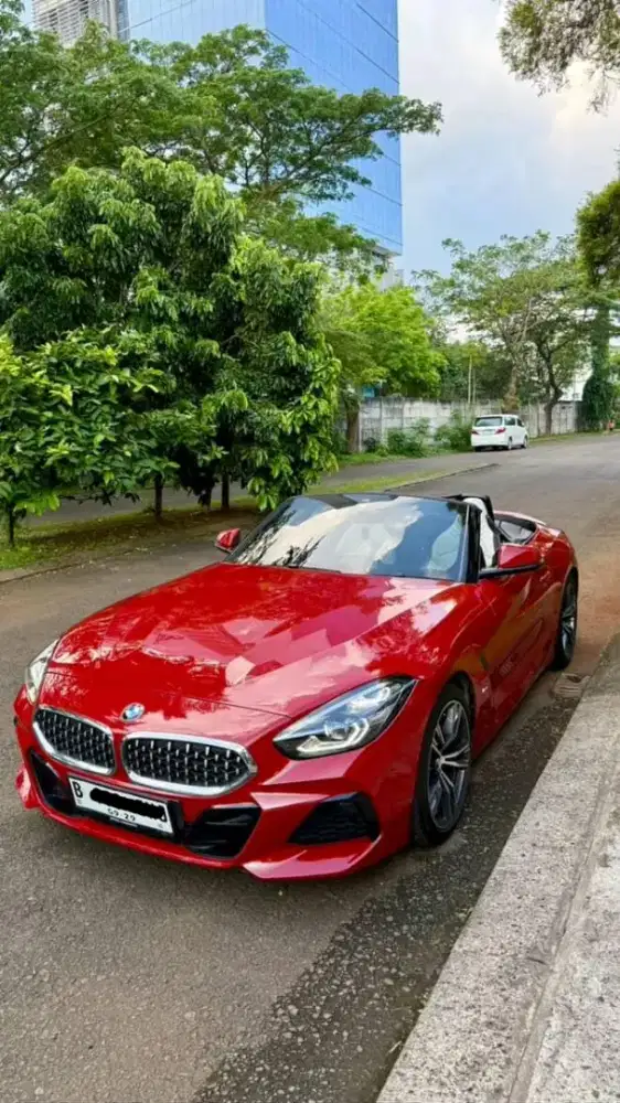 BMW Z4 Sdrive 3.0