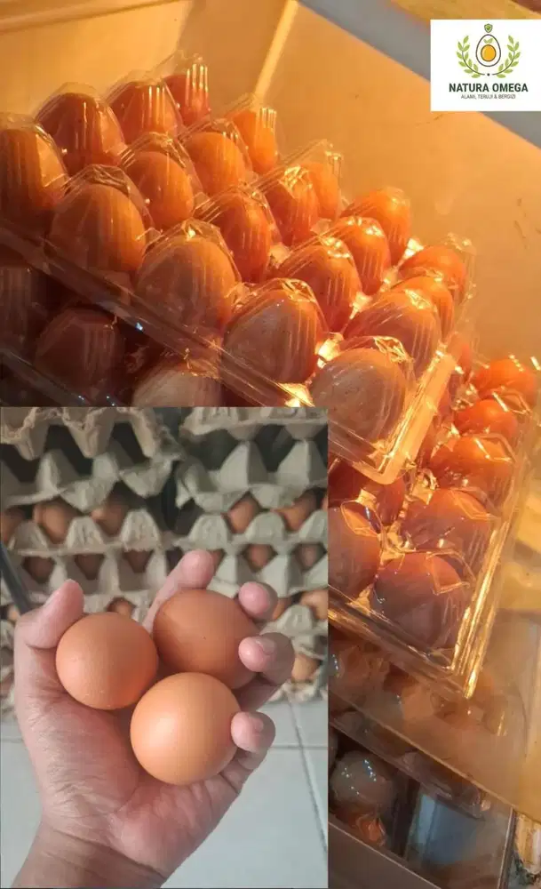 TELUR OMEGA FRESH ASLI (ADA UJI LAB)