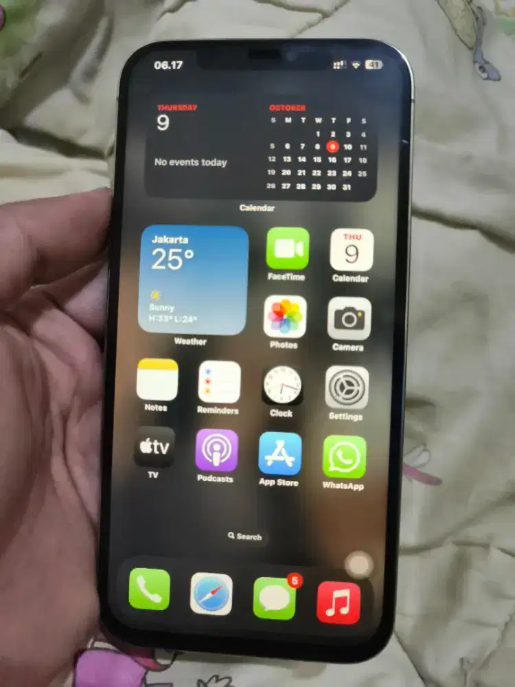 Iphone 12 pro max 128 dual sim