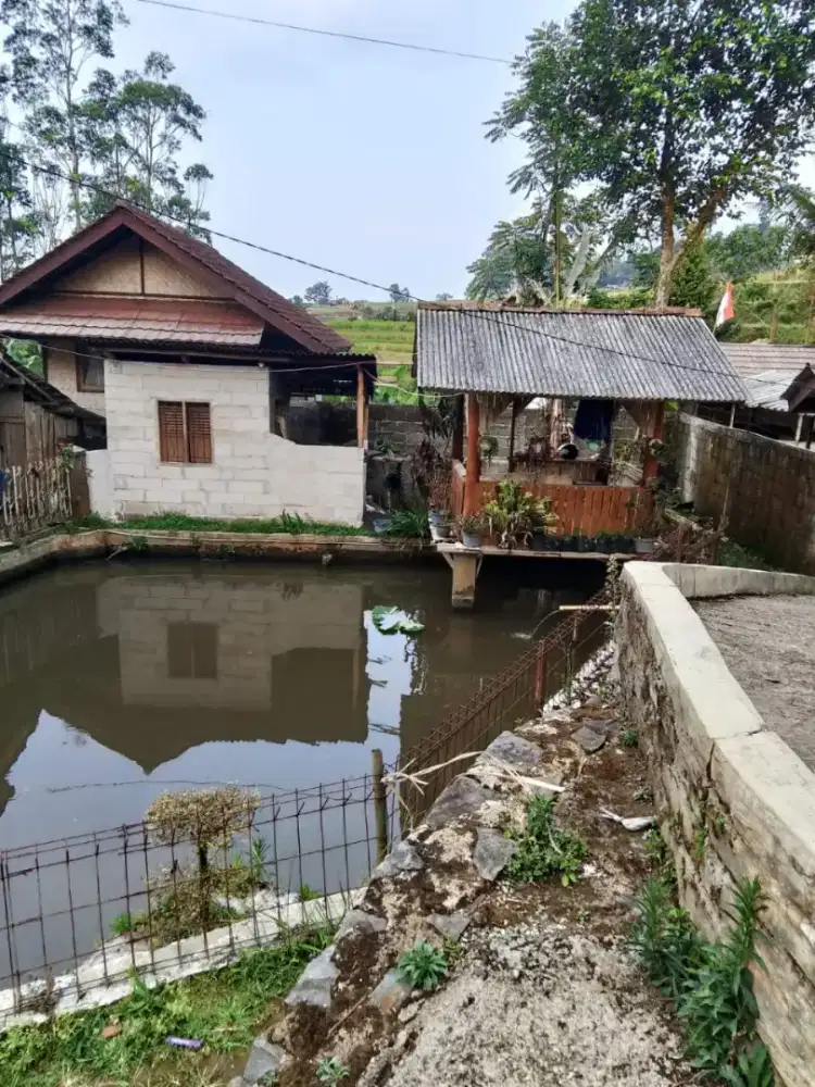Jual tanah dan kolam ikan cikalong cimaung