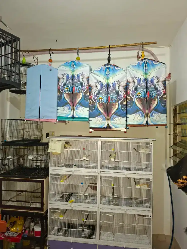di jual borongan kenanri sekalian kandangnya