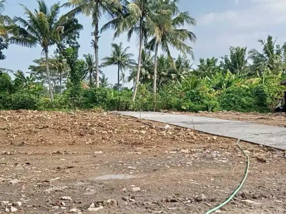 Tanah 1 jutaan dekat bandara YIA kulonprogo SIAP AJB