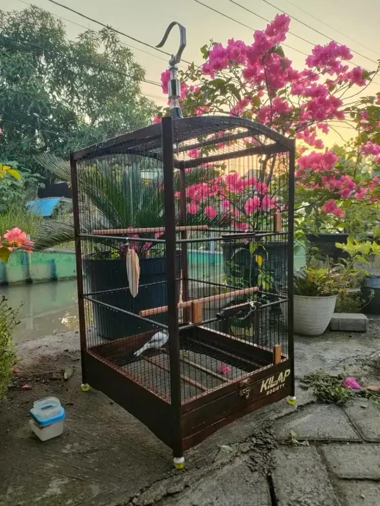 SANGKAR BURUNG NEPAK 37 x 43