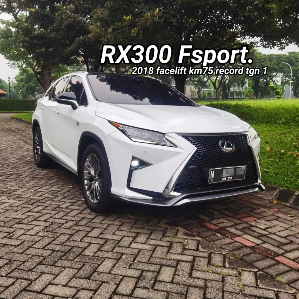 RX300 fsport 2018 putih