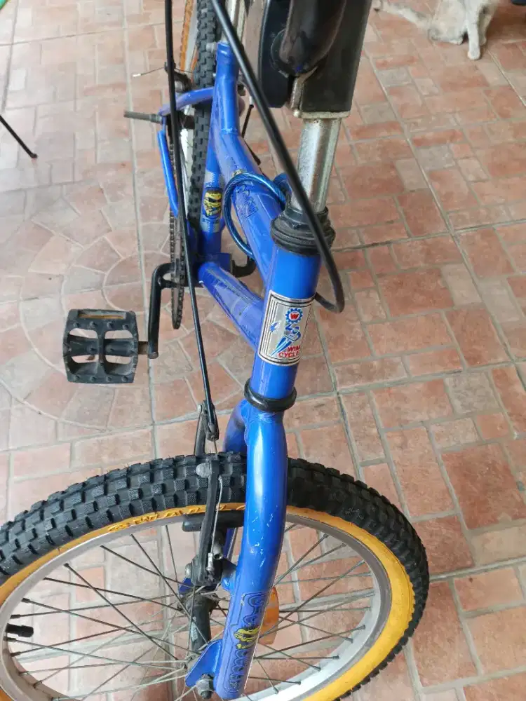 Sepeda wimcye big daddy