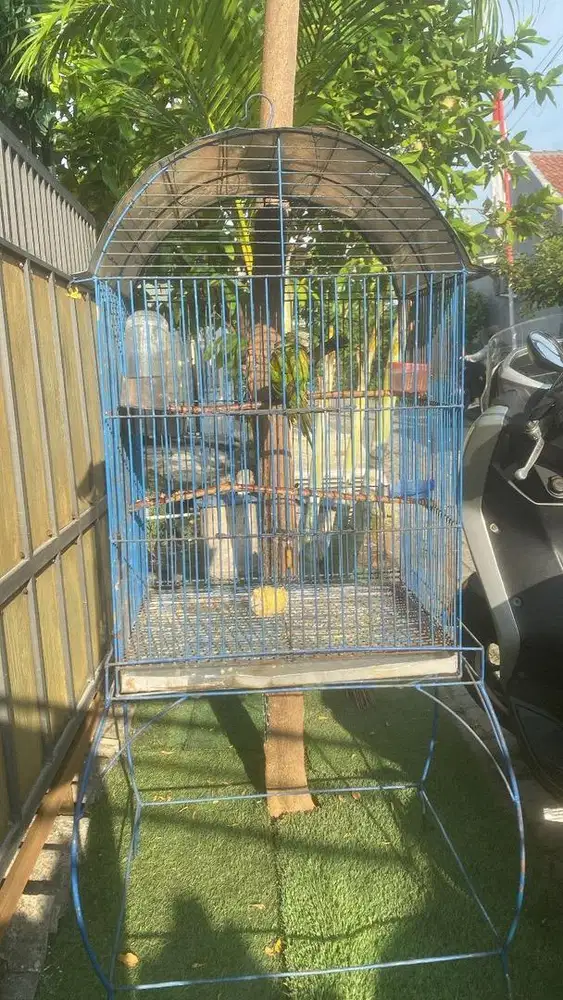 Kandang burung parbeng