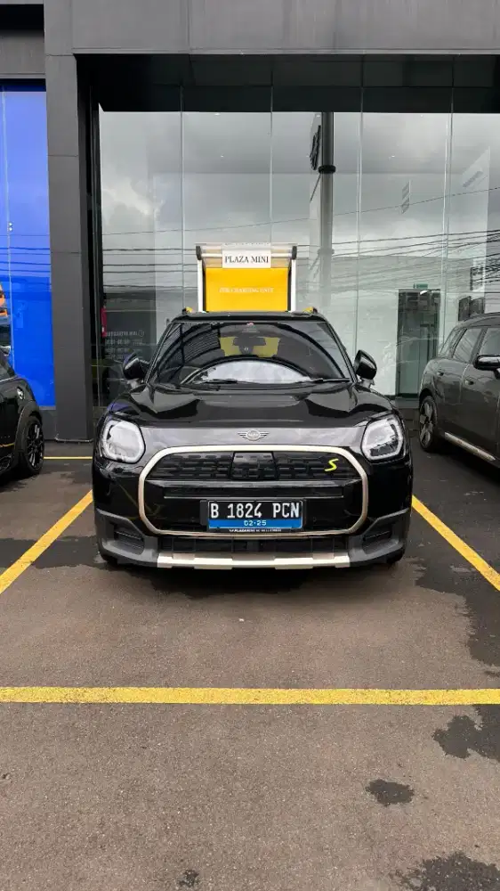 Mini Countryman SE (Elektrik)