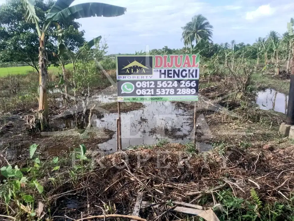 Jual Murah Tanah Raya Sungai Kakap Pal 9 Pontianak Kota
