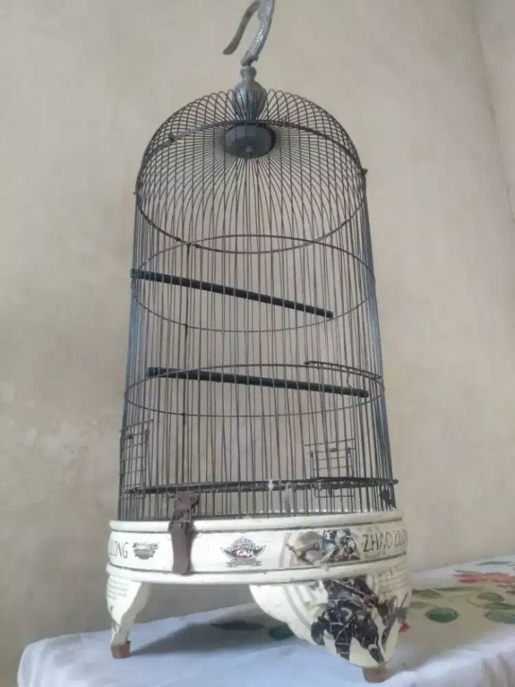 Sangkar lovebird sazime
