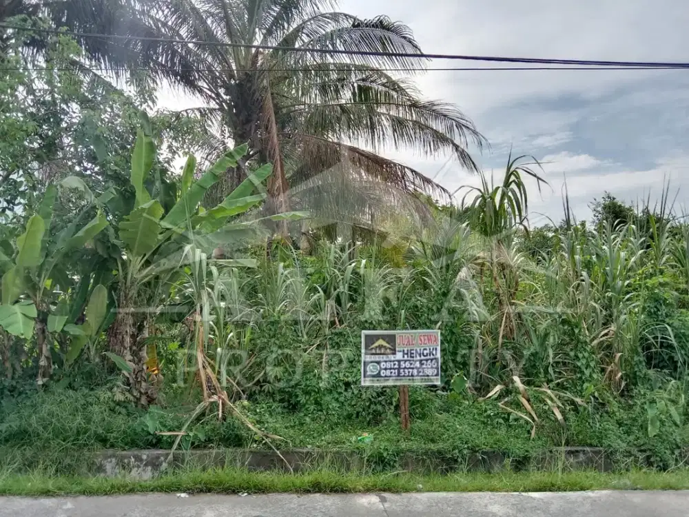 Dijual Tanah Surya Bangun Rumah dan Usaha Pusat Kota Pontianak Selatan