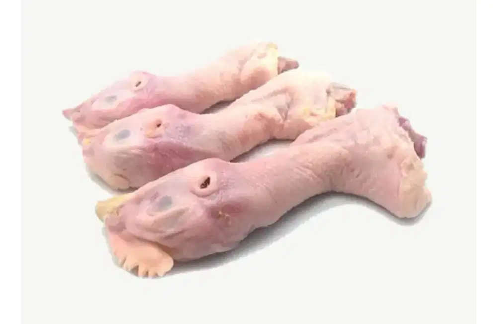 Ayam Negeri Potong