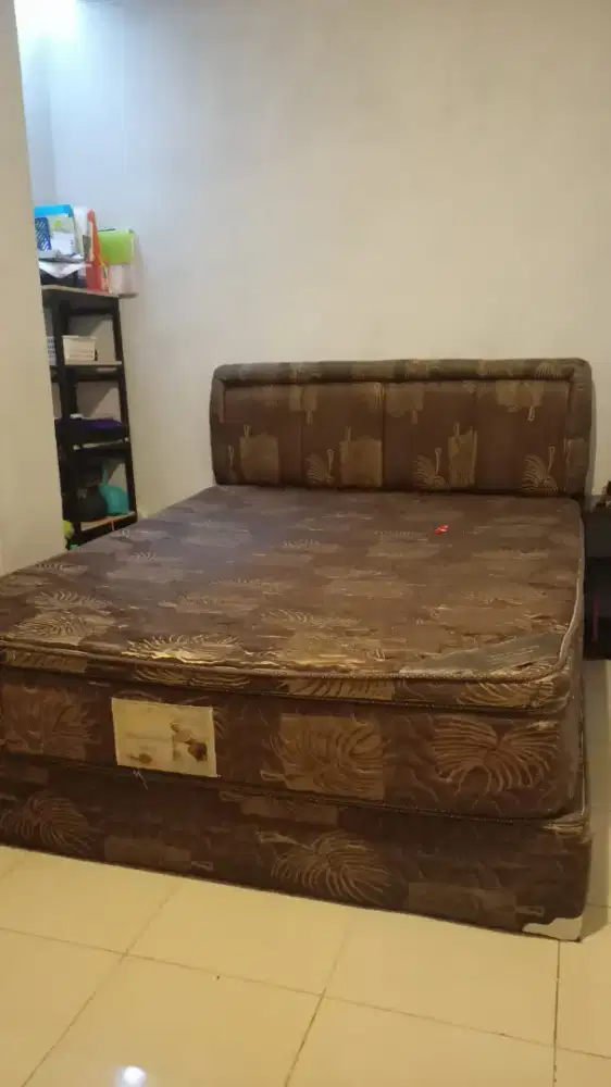 Springbed + dipan calliste infinito plush top