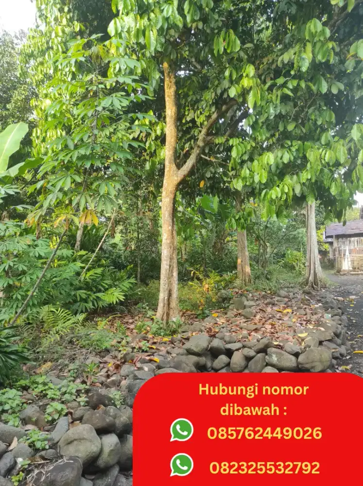 DIJUAL PEKARANGAN