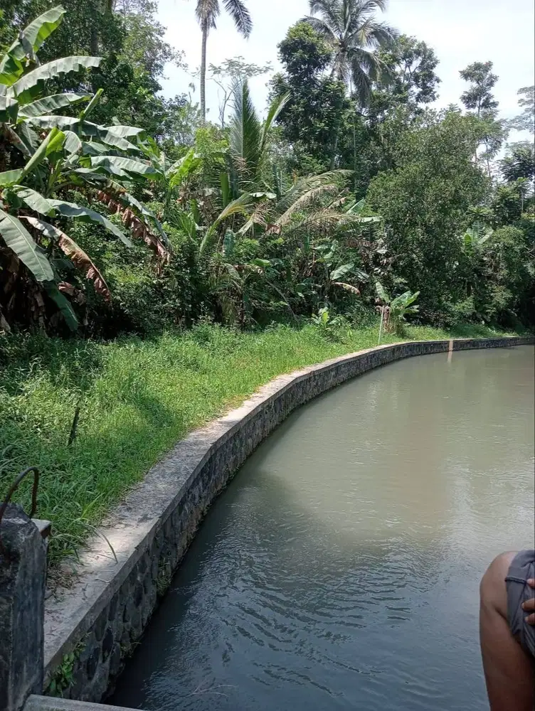 Dijual Tanah Pekarangan dengan view alam