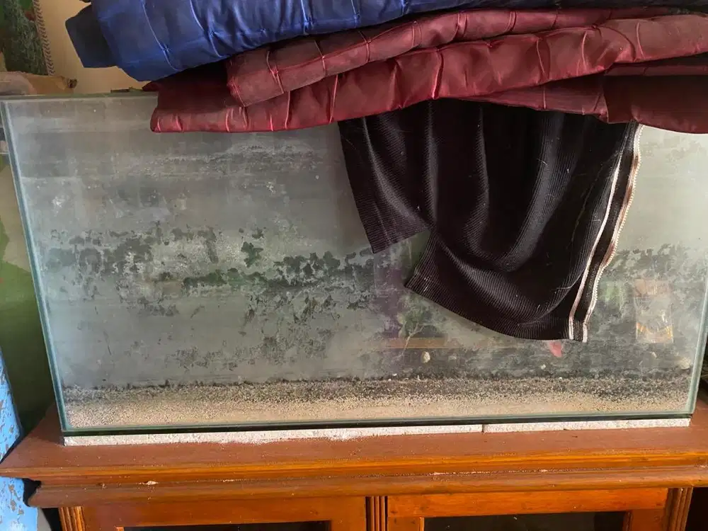 Aquarium kaca persegi