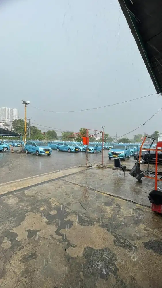 LOWONGAN DRIVER BLUE BIRD