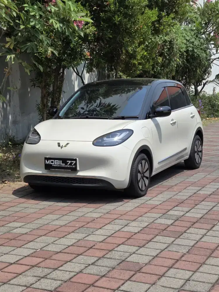 Wuling Binguo EV odo19rb Tahun 2024