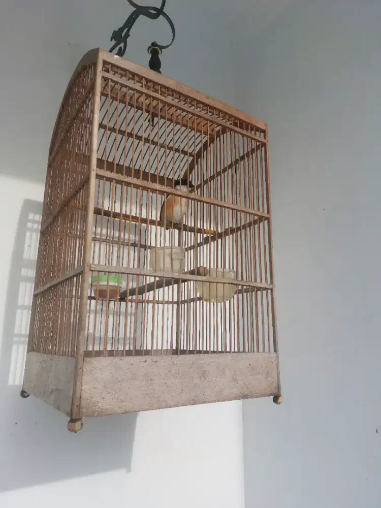 Pentet Jatim Gacor