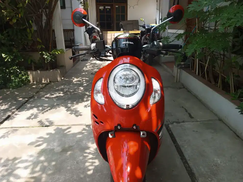 Honda New Scoopy fashion THN 2024