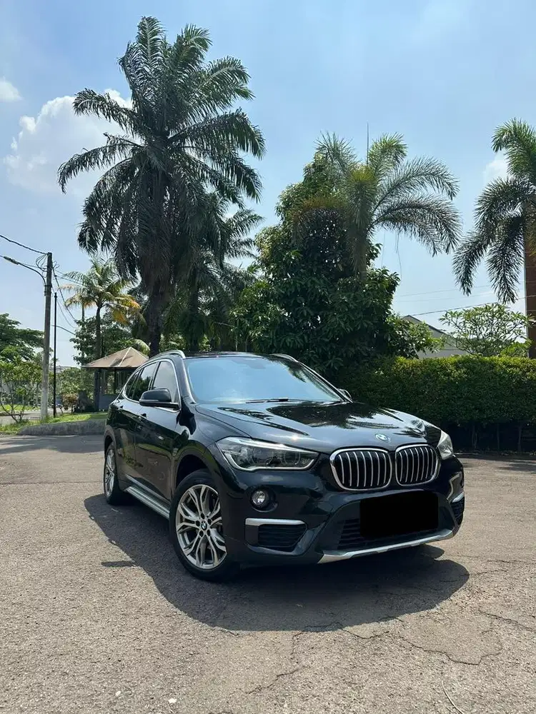 Bmw X1 Sdrive18i Xline Panoramic 2017