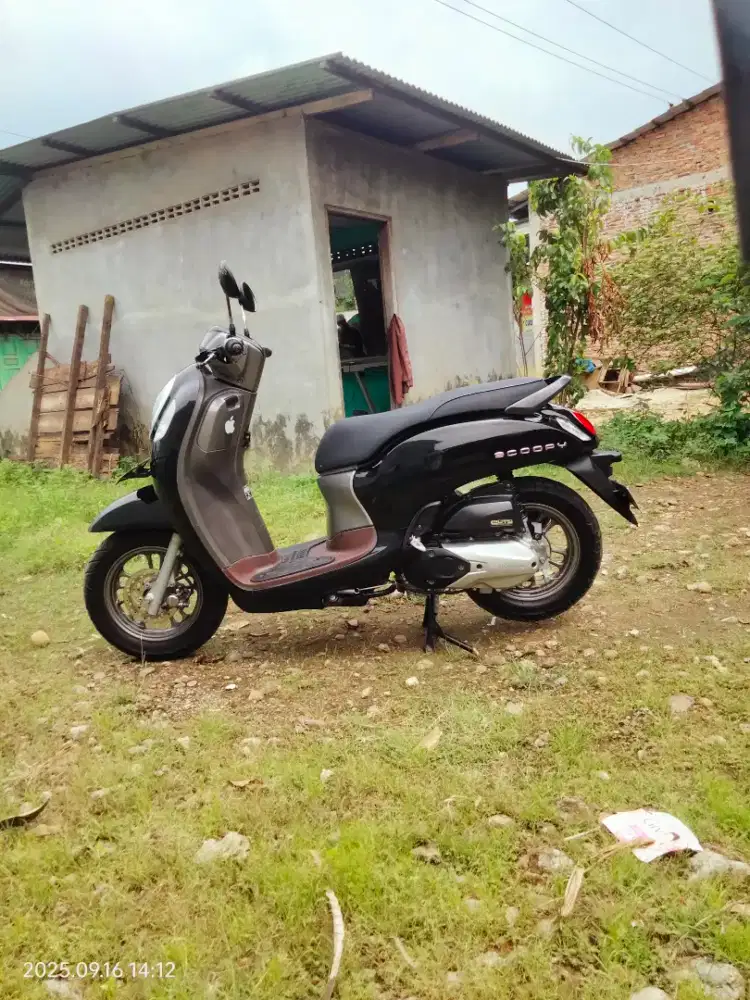 Scoopy prestige