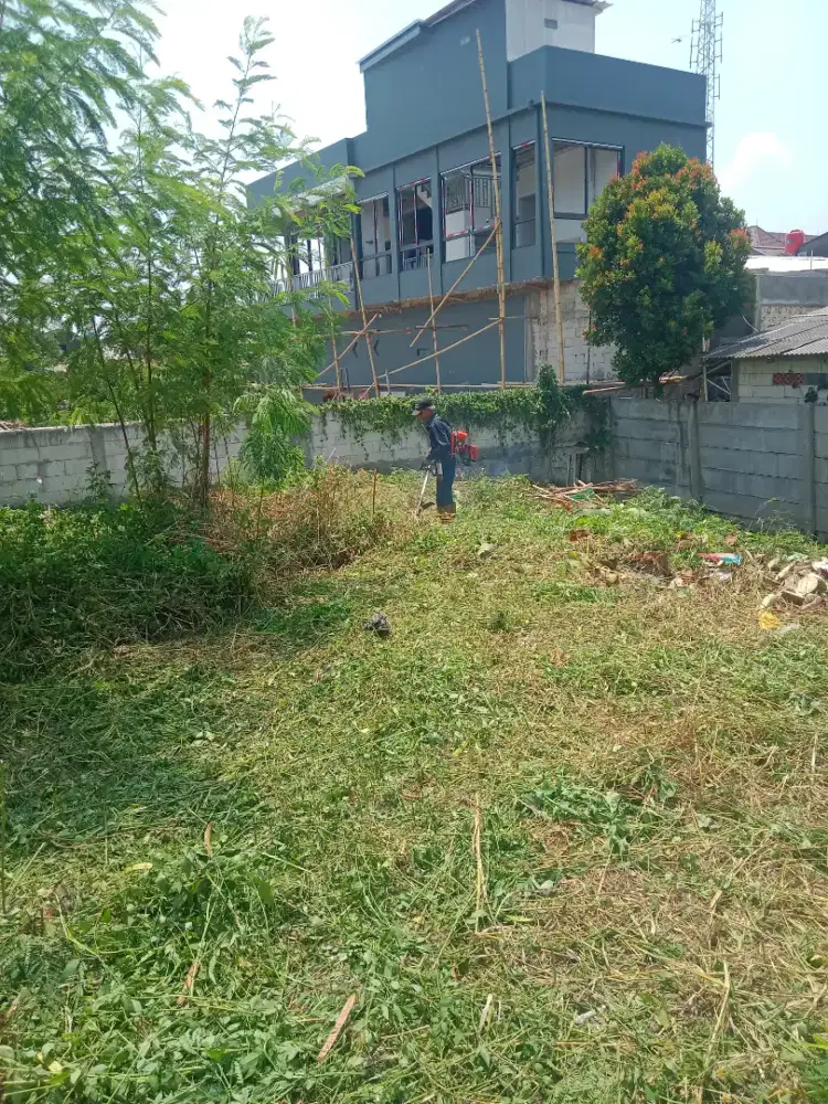 Jasa potong rumput dan tebang pohon