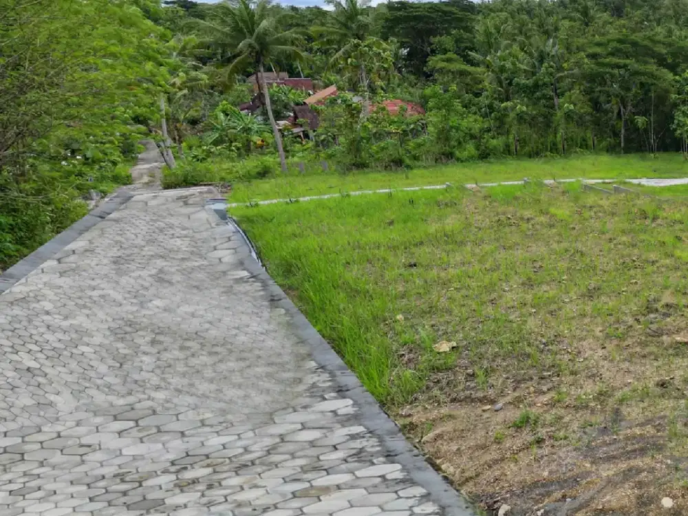 Tanah Jogja Murah Dekat Pemda Wates