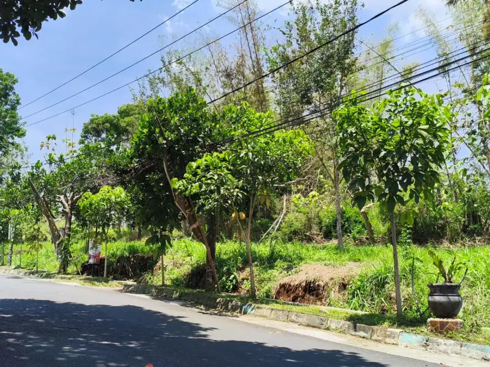 Tanah Kavling Kota Malang Tepat Samping Thursina