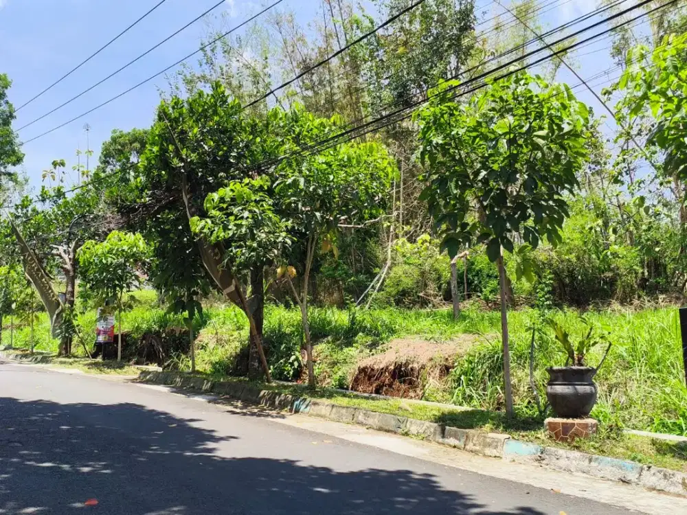 Tanah Strategis Poros Jalan Kota Malang Tepat Samping Thursina