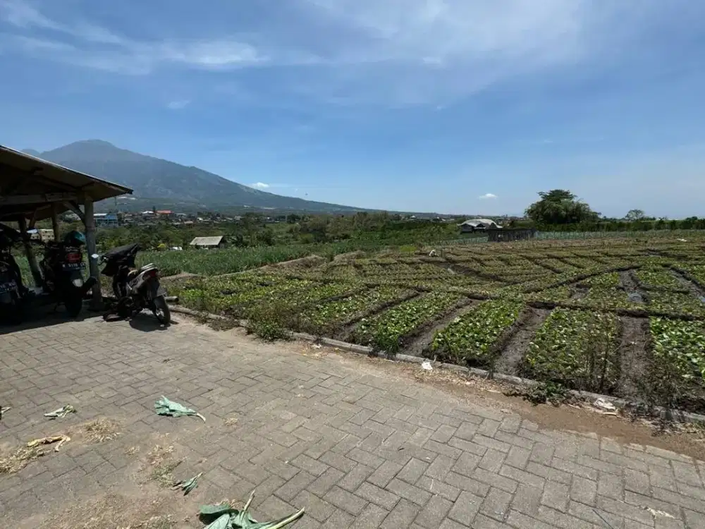 Tanah Kota Batu Samping Alun alun Kota Batu