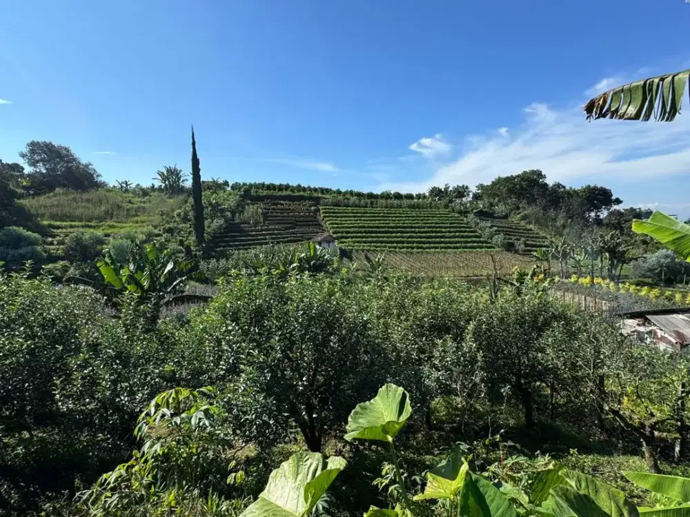 Tanah Pekarangan Area Vila kebun Kota Wisata