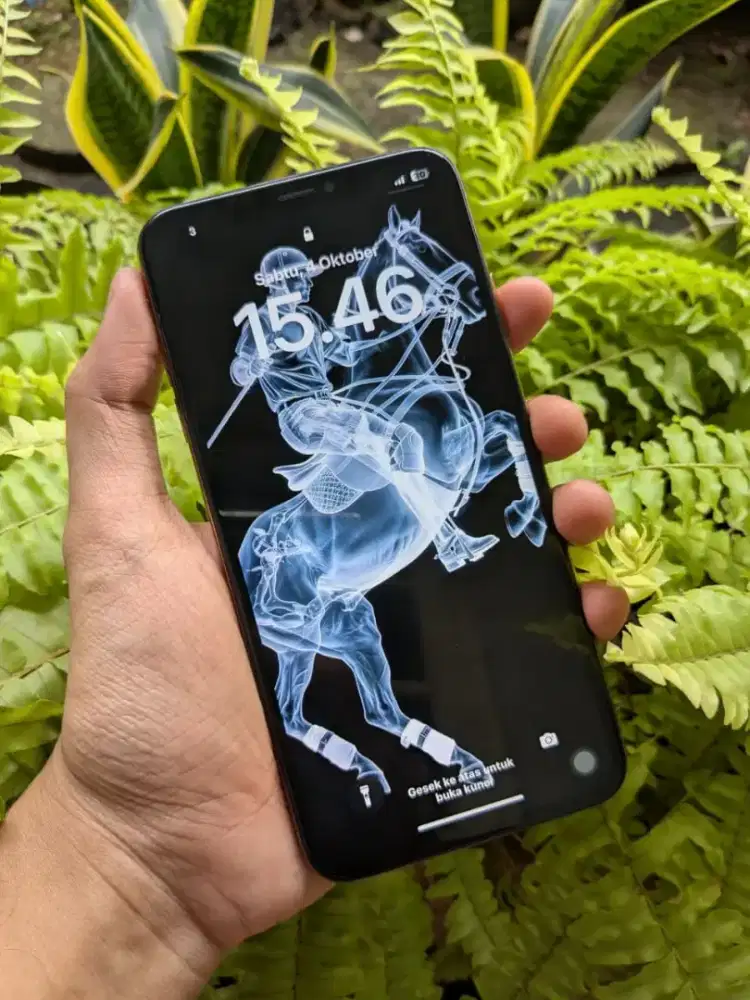 iPhone xs max 64 GB