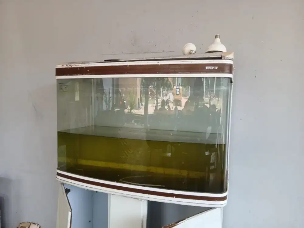 Jual cepat Aquarium kaca lengkung soyu