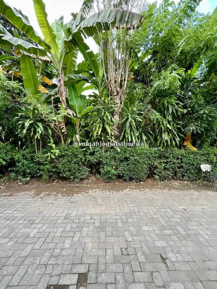 Tanah Dekat UGM Pogung Pandega Padma Jalan Kaliurang Km 5,5