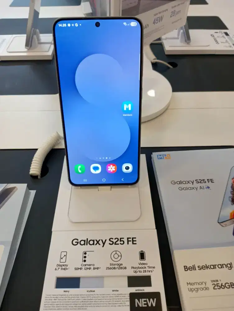 Samsung Galaxy S25 FE