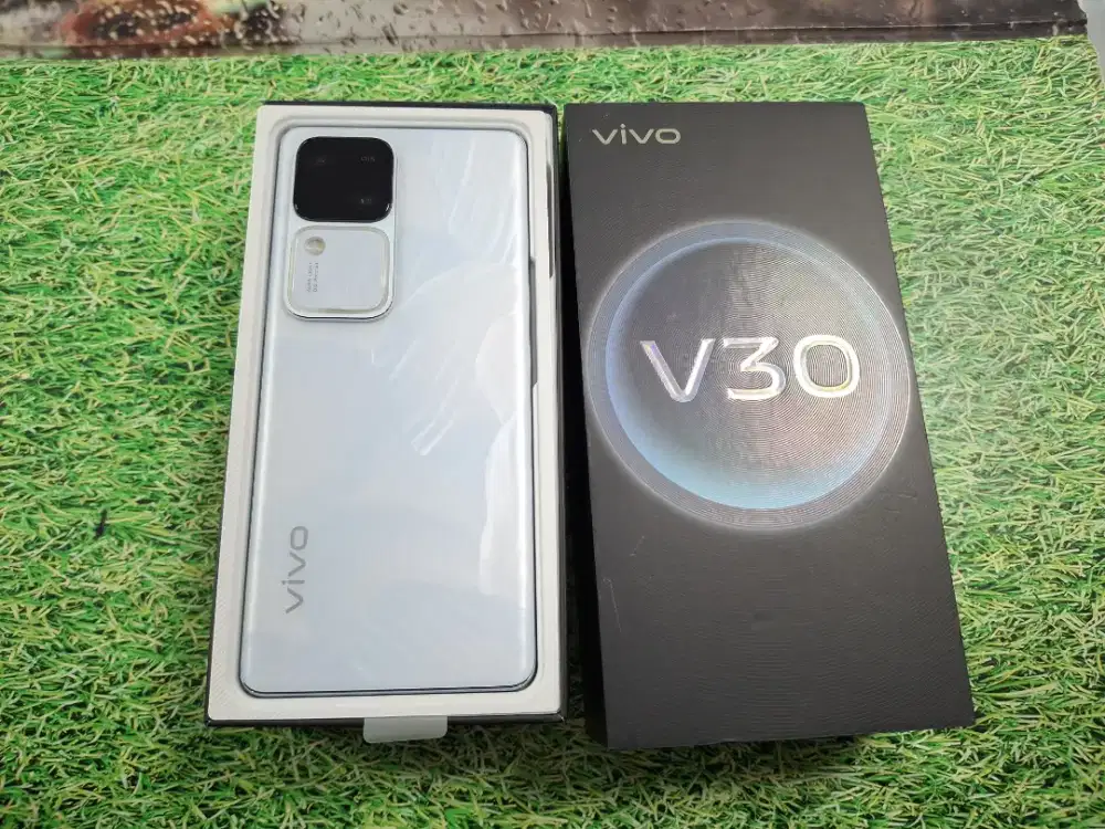 Vivo V30 5G 8/256
