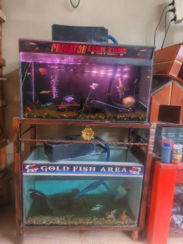 Aquarium 60 x 30 x 35