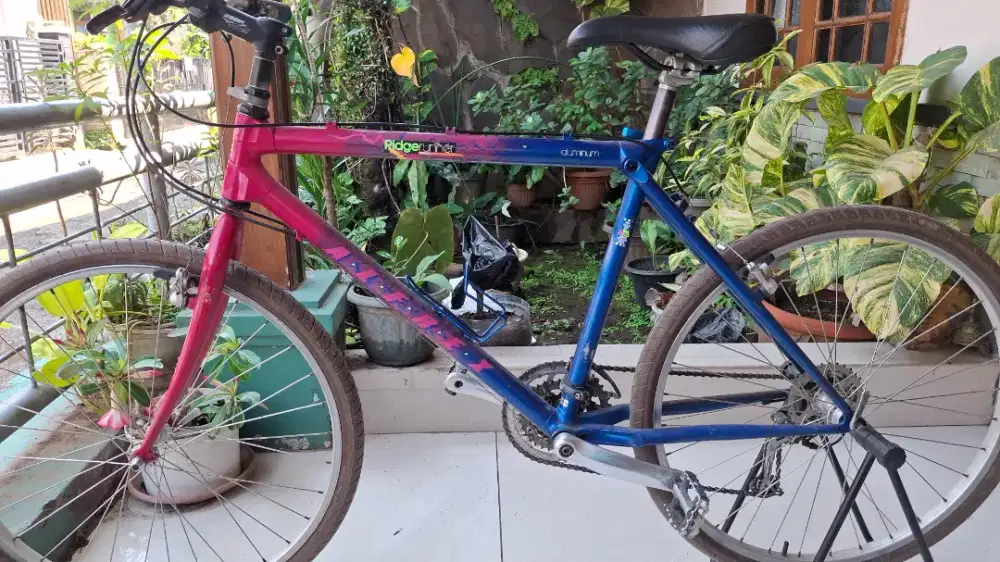 MTB Vintage Myata